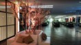 /album/formatura-ciencias-contabeis-uni-bh/form06-jpg/